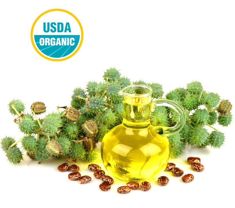 wholesale cold pressed organic castor oil suppliers in united states